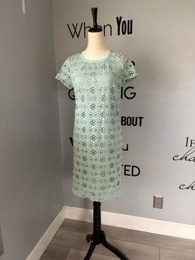 EUC Ann Taylor LOFT Lace Shift Dress Size 8